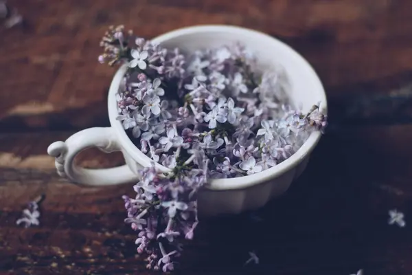 Taza Llena Flores Lila Púrpura —  Fotos de Stock