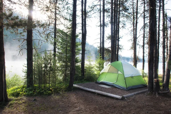 テントはレモロ湖のキャンプ場で朝の霧 Umpqua National Forest オレゴン州 アメリカ — ストック写真