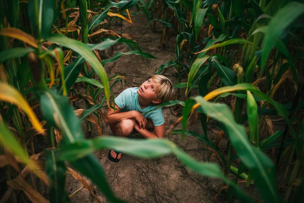 Boy Crouching Corn Field Usa — Stock Photo, Image