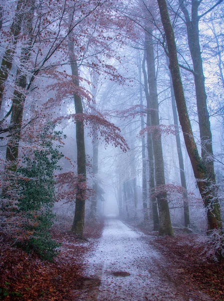 Route Travers Paysage Givré Suisse — Photo