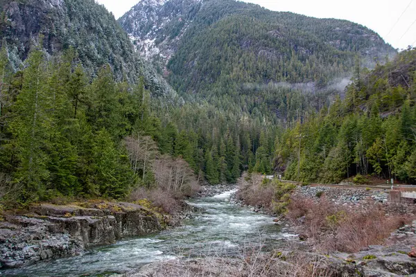 Floden Löper Genom Ett Landsbygdslandskap Vancouver Island British Columbia Kanada — Stockfoto