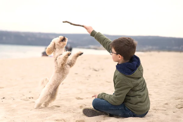 Jongen Met Een Stok Spelen Met Zijn Hond Het Strand — Stockfoto
