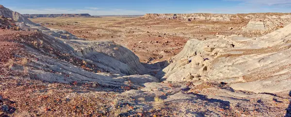 Petrified Forest National Park Arizona Usa — Stock Photo, Image