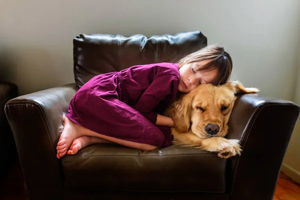 Girl Curled Armchair Golden Retriever Dog — Stock Photo, Image