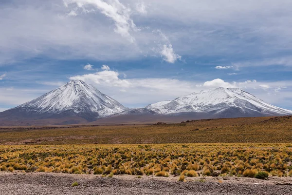 ボリビアとチリの国境によるライセンスバー火山とジュルティーク火山 — ストック写真