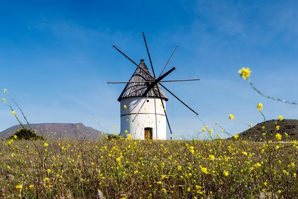 Pozo Los Frailes Windmill Almeria Andalusia Spain — Stock Photo, Image
