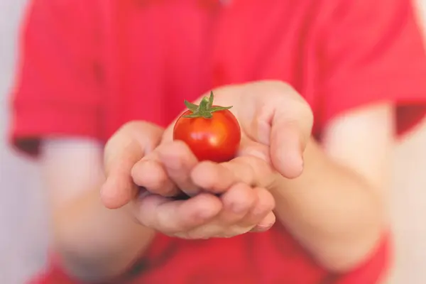 Niño Sosteniendo Tomate — Foto de Stock