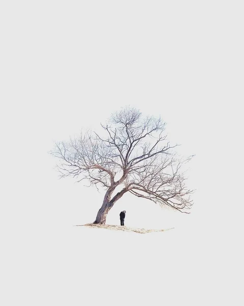 Muž Stojící Pod Stromem Jižní Korea — Stock fotografie