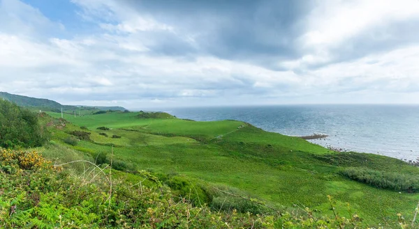 Kustlandskap Isle Arran Skottland Storbritannien — Stockfoto
