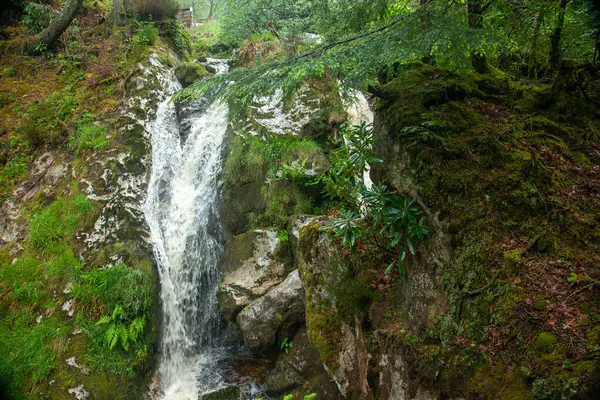 Wasserfall Wald Insel Arran Schottland Vereinigtes Königreich — Stockfoto