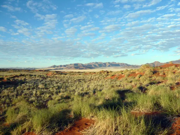 Wunderschöne Wüstenlandschaft Namibia — Stockfoto