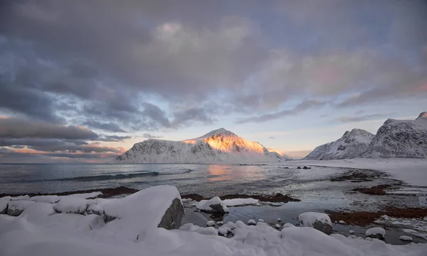 Kışın Skagen Sahili Lofoten Nordland Norveç — Stok fotoğraf