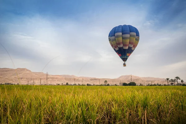 Sıcak Hava Balonu Krallar Vadisi Üzerinde Uçuyor Luxor Mısır — Stok fotoğraf