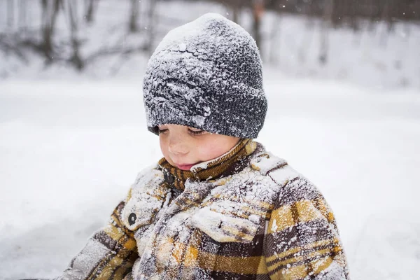 Porträtt Pojke Barn Täckt Snö Vinter Park Scen — Stockfoto