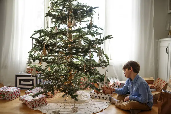 飾りを見るクリスマスツリーのそばに座っている男の子 — ストック写真