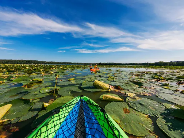 Trois Enfants Faisant Kayak Dans Lac Rempli Nénuphars États Unis — Photo