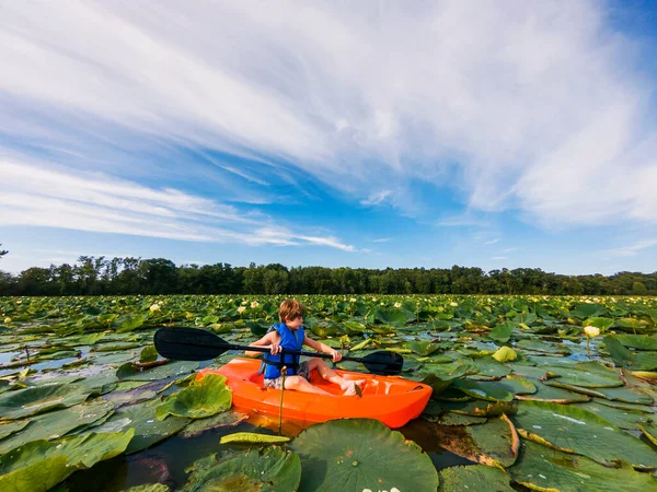 Boy Kayaking Lake Filled Water Lilies — Stock Photo, Image
