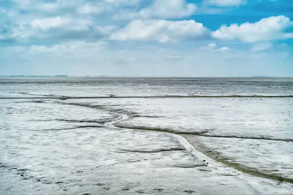 Dollart Bay Maré Baixa Mar Wadden Frísia Oriental Baixa Saxônia — Fotografia de Stock