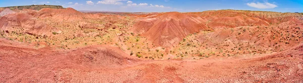 Vue Paysage Depuis Pointe Tiponi Parc National Forêt Pétrifiée Arizona — Photo