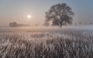 Bizim Tam Yıldız ..