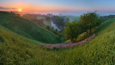 Sisli bir vadide bahar sabahı