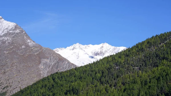 Karla kaplı tepeler canlı yeşil ağaçların üzerinde, parlak mavi gökyüzüne karşı çarpıcı bir kontrastlık yaratarak doğal çevrenin dingin güzelliğini vurguluyor.