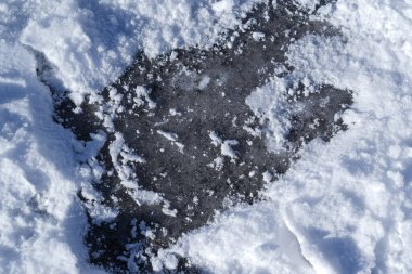 Koyu yüzey kısmen taze beyaz karla kaplı. Dokular ve renklerin zıtlığını sergiliyor. Doğal güzellikle sakin bir kış manzarası yaratıyor.