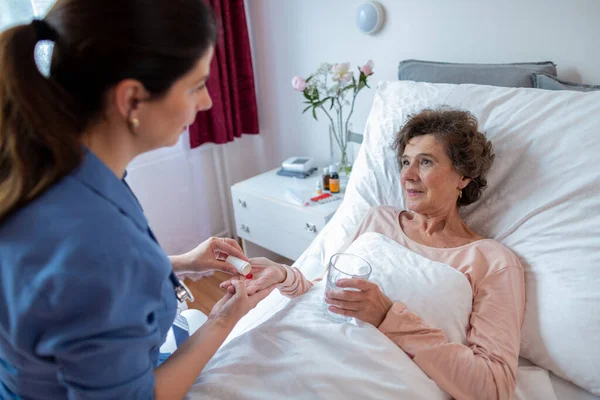 Ältere Patientin Nimmt Pillen Von Häuslicher Pflegekraft Krankenschwester Verabreicht Medikamente lizenzfreie Stockfotos