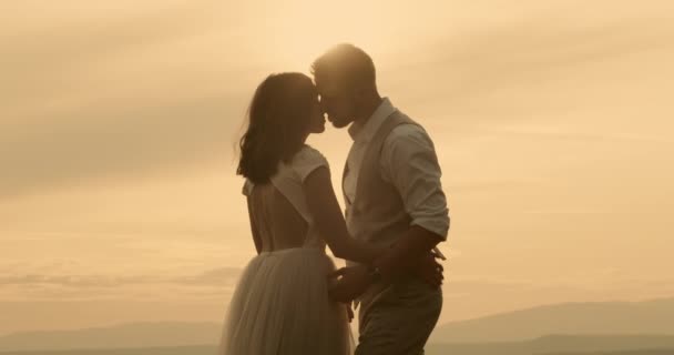 Νύφη Και Γαμπρός Φιλιούνται Στο Φως Του Ήλιου Νύφη Και — Αρχείο Βίντεο