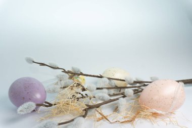 Üç renkli yumurta yumuşak dalların ve samanların arasında sade bir zeminde oturur. Bu sahne bir bahar kutlaması ya da tatil etkinliği için dekorasyonları gösterir..