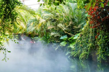 Yoğun yeşil yapraklar, büyük palmiye yaprakları ve sislerle kaplı bir nehri çevreleyen canlı bitkilerle dolu verimli bir tropikal orman sahnesi. Yolcularla dolu küçük bir tekne, gizemli ve maceraperest bir atmosfer yaratarak sislerin arasından kısmen görülebilir. Şey...