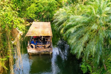 Yolcuları taşıyan küçük bir tekne yoğun tropikal orman ve palmiye ağaçları ile çevrili dar bir nehirde yavaşça ilerler. Sahne macera, eko-turizm ve bereketli bir yağmur ormanı ortamında keşifleri, seyahat, doğa ve tatil için ideal hale getiriyor.