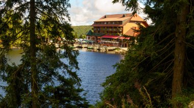 Bereketli yeşil ağaçlar ve doğal manzarayla çevrili manzaralı yaz gölü. Sakin su, temiz hava ve doğada huzurlu bir atmosfer..