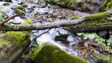Güzel şelale yemyeşil doğayla çevrili küçük bir dere ve nehre akıyor. Tatlı su, kaya ve barışçıl doğa manzarası.