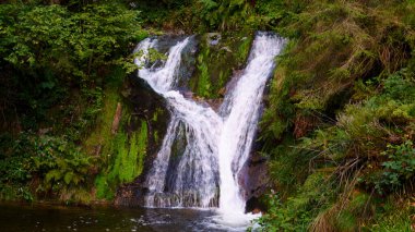 Güzel şelale yemyeşil doğayla çevrili küçük bir dere ve nehre akıyor. Tatlı su, kaya ve barışçıl doğa manzarası.