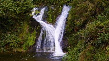 Güzel şelale yemyeşil doğayla çevrili küçük bir dere ve nehre akıyor. Tatlı su, kaya ve barışçıl doğa manzarası.
