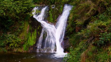 Güzel şelale yemyeşil doğayla çevrili küçük bir dere ve nehre akıyor. Tatlı su, kaya ve barışçıl doğa manzarası.