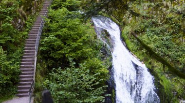Güzel şelale yemyeşil doğayla çevrili küçük bir dere ve nehre akıyor. Tatlı su, kaya ve barışçıl doğa manzarası.