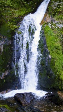 Güzel şelale yemyeşil doğayla çevrili küçük bir dere ve nehre akıyor. Tatlı su, kaya ve barışçıl doğa manzarası.
