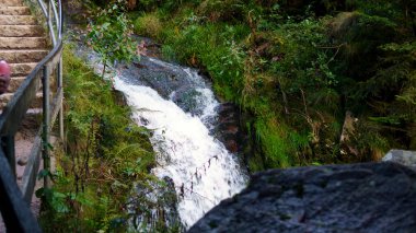 Güzel şelale yemyeşil doğayla çevrili küçük bir dere ve nehre akıyor. Tatlı su, kaya ve barışçıl doğa manzarası.