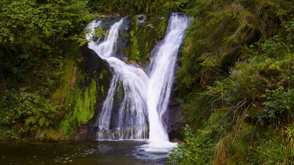 Güzel şelale yemyeşil doğayla çevrili küçük bir dere ve nehre akıyor. Tatlı su, kaya ve barışçıl doğa manzarası.