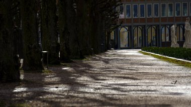 Uzun olgun ağaçlar düz bir park yolu üzerinde mükemmel bir tepe örtüsü oluşturur. Dalları zarif bir şekilde üzerlerinde uzanır. Güneş ışığı yeşil yaprakların arasından süzülür, aşağıdaki asfalt yolda gölgeler bırakır. Sahne huzurlu, gölgeli bir yürüyüş yolu oluşturuyor.