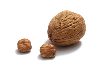 Beyaz arkaplanda fındık