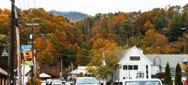 Boone North Carolina 'da sonbahar renkleri. Yüksek kalite fotoğraf