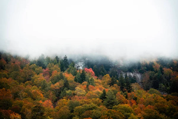 Boone North Carolina 'da sonbahar renkleri. Yüksek kalite fotoğraf