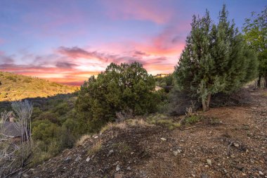 Manzaralı vahşi doğa sahnesi, engebeli arazide gün batımı, kayalık ardıç sırtıyla canlı gün batımı.