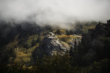 Sonbahar ışıltısında sisli dağ sırtı, sisli zirveleri ve canlı yaprakları olan tenha vahşi doğa.