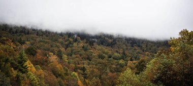 Renkli yamaç manzarası, canlı yeşilliklerle dolu sonbahar yamacı, hareketli tepeler.