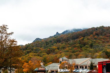 Etrafı yemyeşil ağaçlarla çevrili görkemli bir dağın önünde parlak kırmızı bir otobüs duruyor.