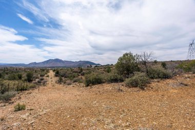 Uzun, dolambaçlı toprak bir yol uçsuz bucaksız bir çöl arazisinde dağılmış ağaçlar ve orada yetişen çeşitli çalılarla doludur.